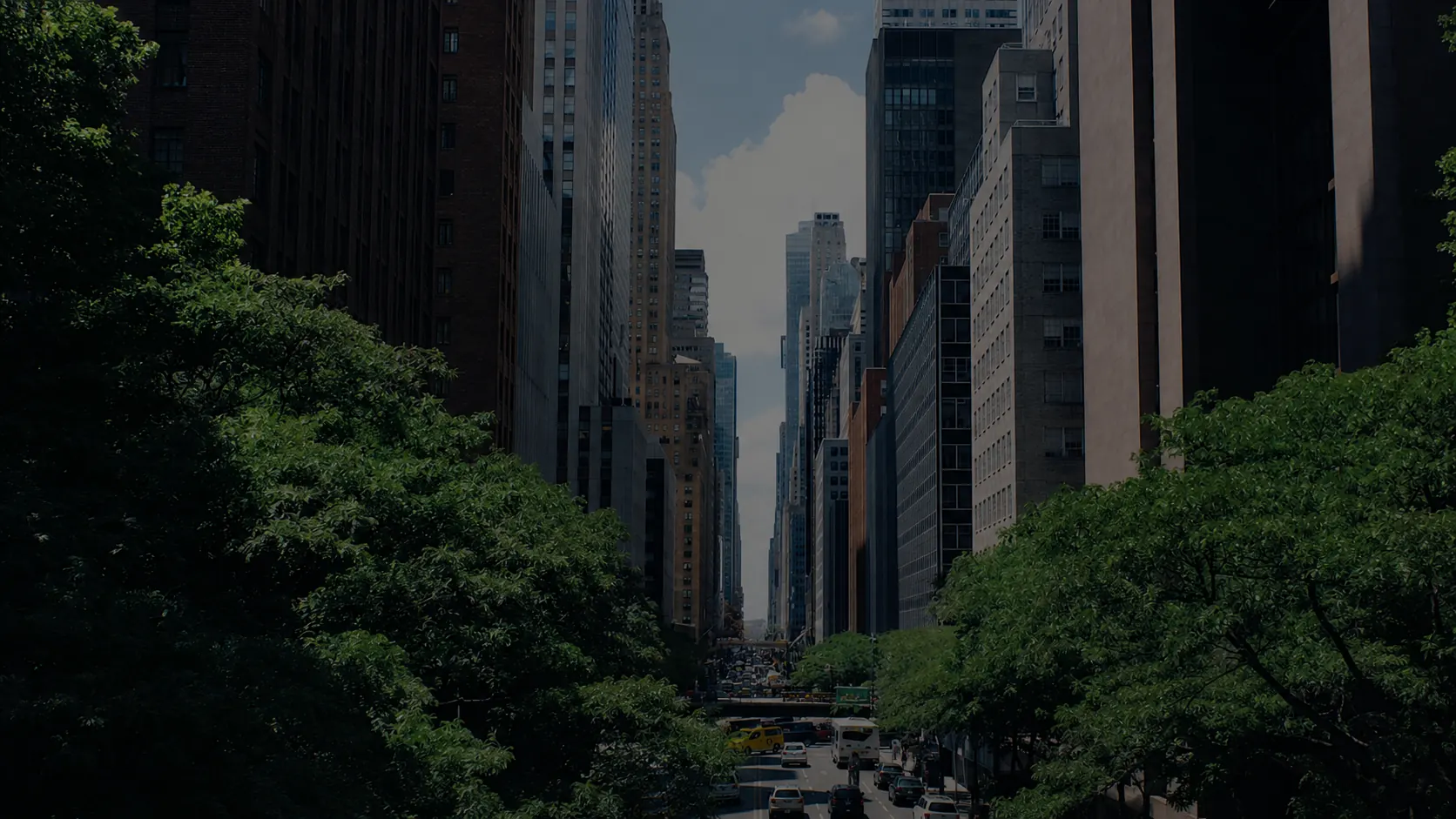 Avenida de CABA entre árboles y edificios