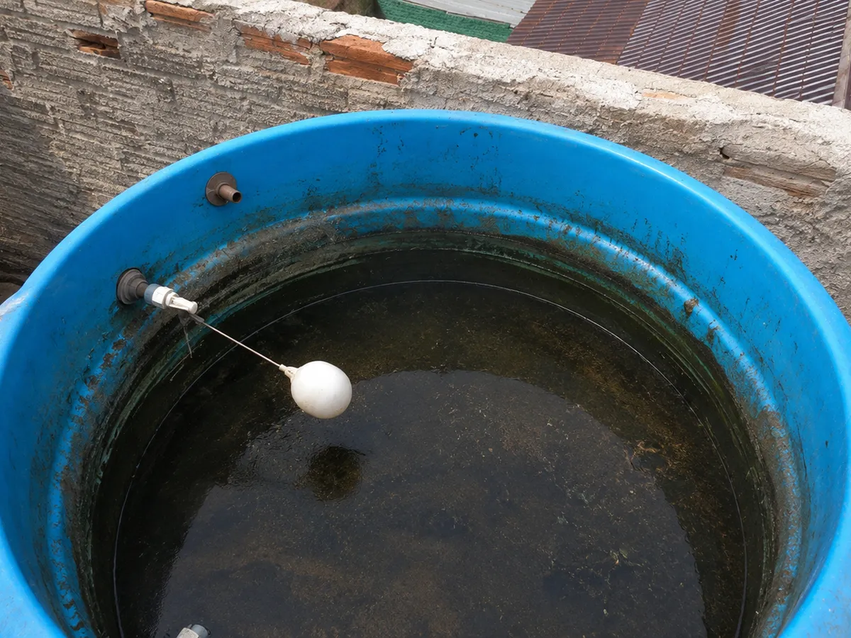 Tanque de agua sucio antes de la limpieza — VAXA